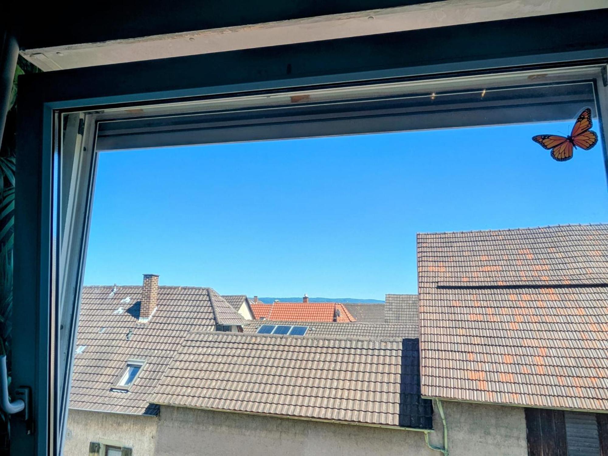 Apartament Delfina Naehe Europa Park Rust Kappel-Grafenhausen Zewnętrze zdjęcie